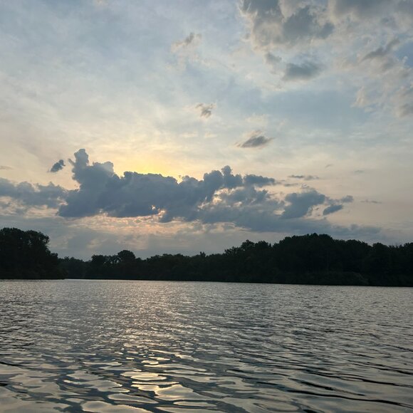 Meet your Posher, Mimi - Picture 4 of 6